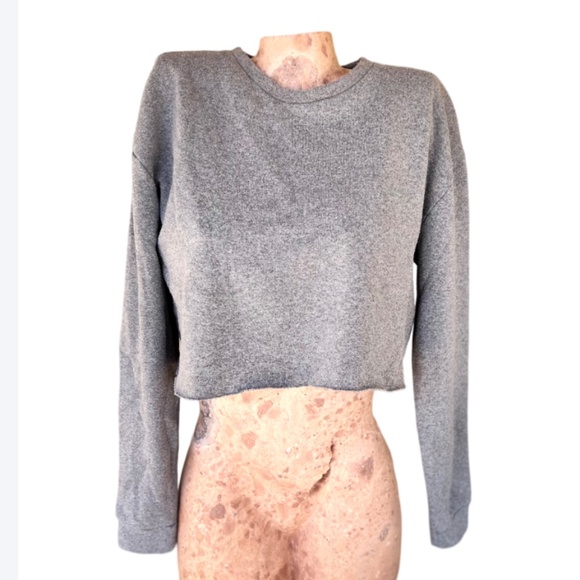 Pashmina Grey Cropped Sweatshirt - Picture 4 of 9